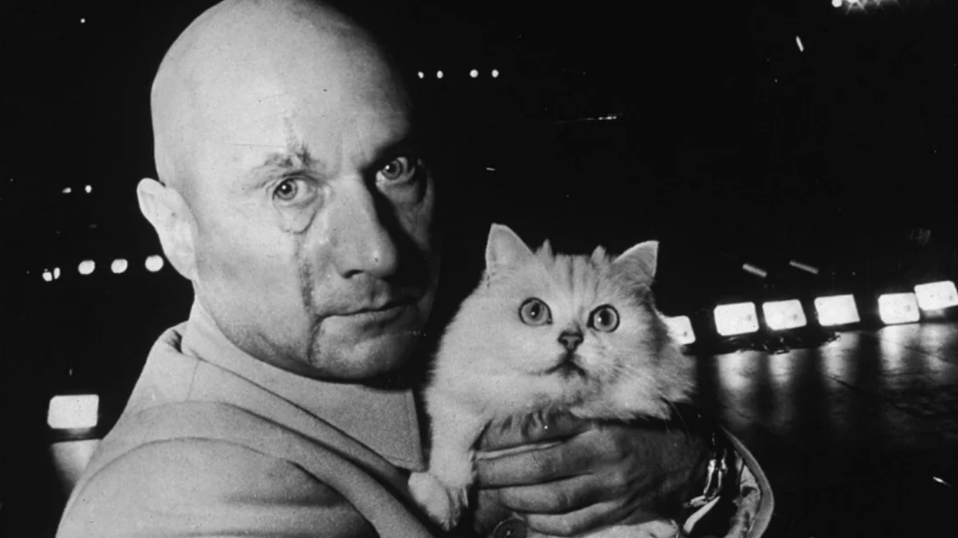 James Bond villains ranked - Blofeld with White Cat